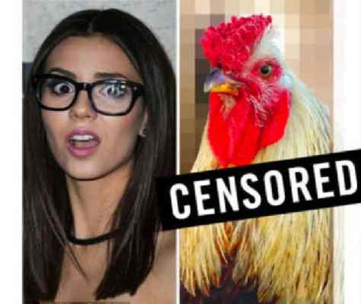 Twitch/Youtube Babecock