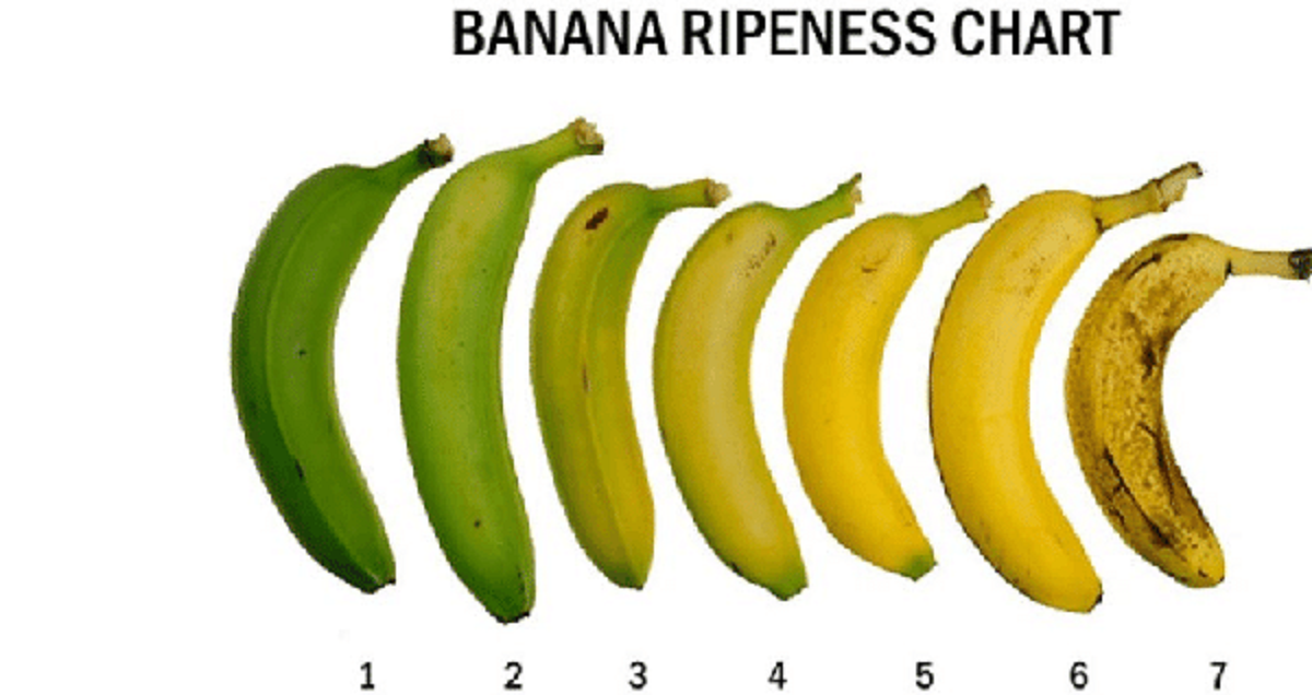 What is your banana preference super survey maker
